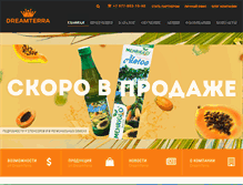 Tablet Screenshot of dtbiz.ru